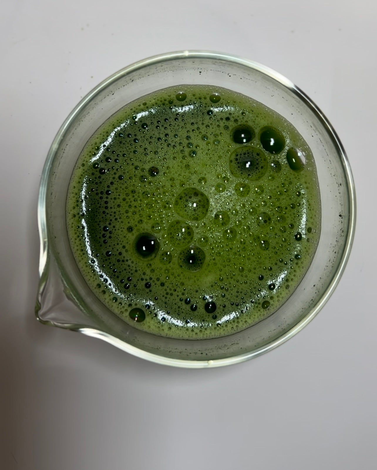 Té Matcha ceremonial premium