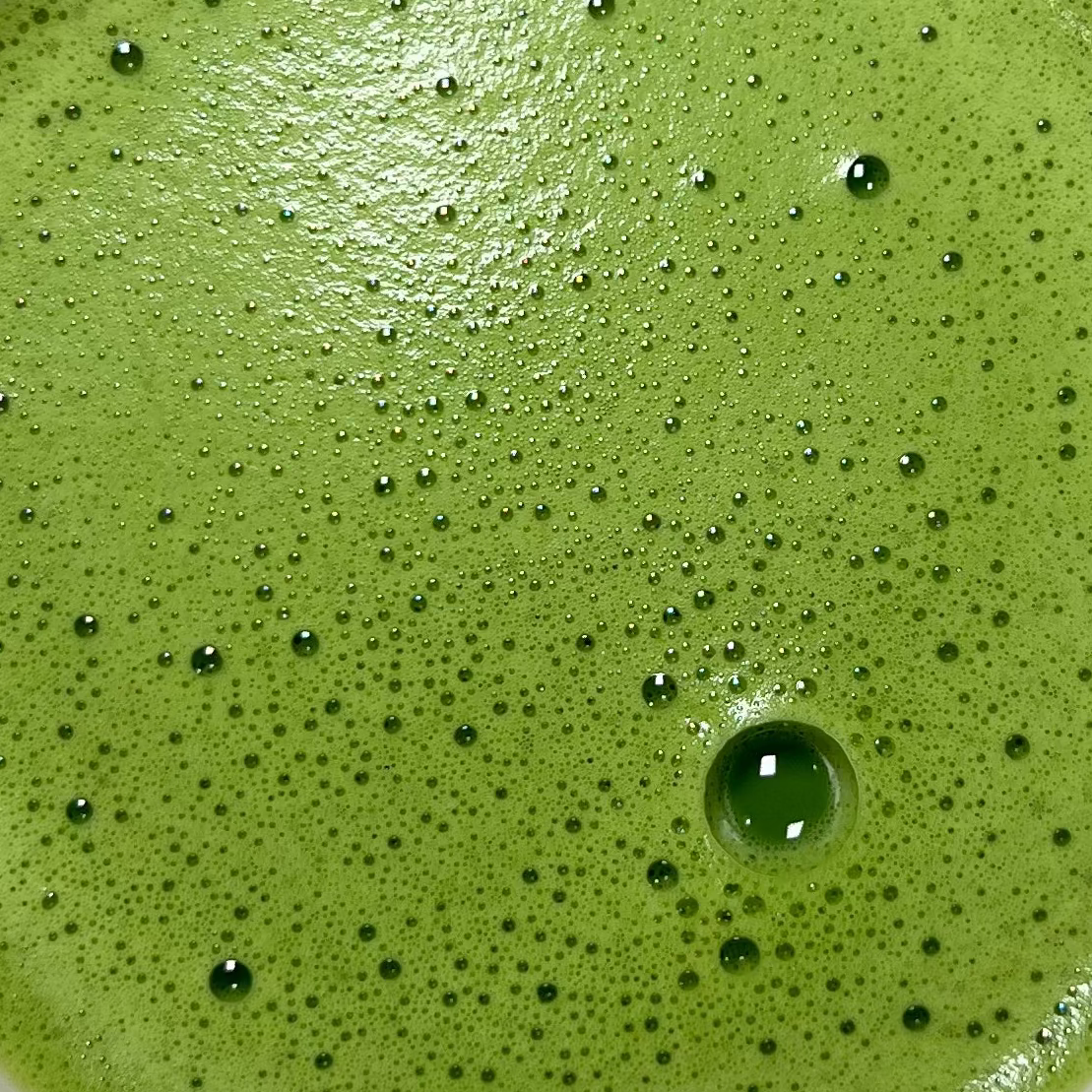 Té Matcha ceremonial premium